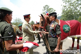 ශ්‍රී ලංකා යුද හමුදා විද්‍යාපිඨයේ පුහුණුවීම් සඳහා පකිස්තානයෙන් අශ්වයන්