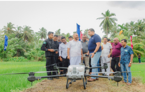 යල කන්නයේ වී වගාව සඳහා පළිබෝධ නාශක  ඉසීම  ඩ්‍රෝන තාක්ෂණය යොදා ගැනීම ඇරඹෙයි