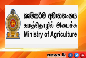 MOP පොහොර මිල සියයට 50කින් අඩු කිරීමට කැබිනට් පත්‍රිකාවක්