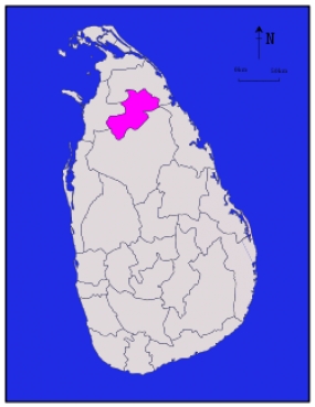 වව්නියා “නිල මෙහෙවර” අද සහ හෙට