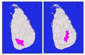 රත්නපුරට, බදුල්ලට රතු නිවේදන