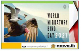  World Migratory Bird Day අදයි