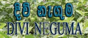 දිවිනැගුම නිවාස ලොතරැයි වැඩසටහනෙන්  ජයග්‍රාහකයින්  20 දෙනෙකුට චෙක්පත්