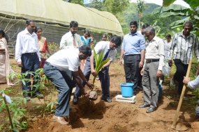 දිවි නැඟුම හයවන අදියර මහනුවරින් සාර්ථක ව ඇරඹේ